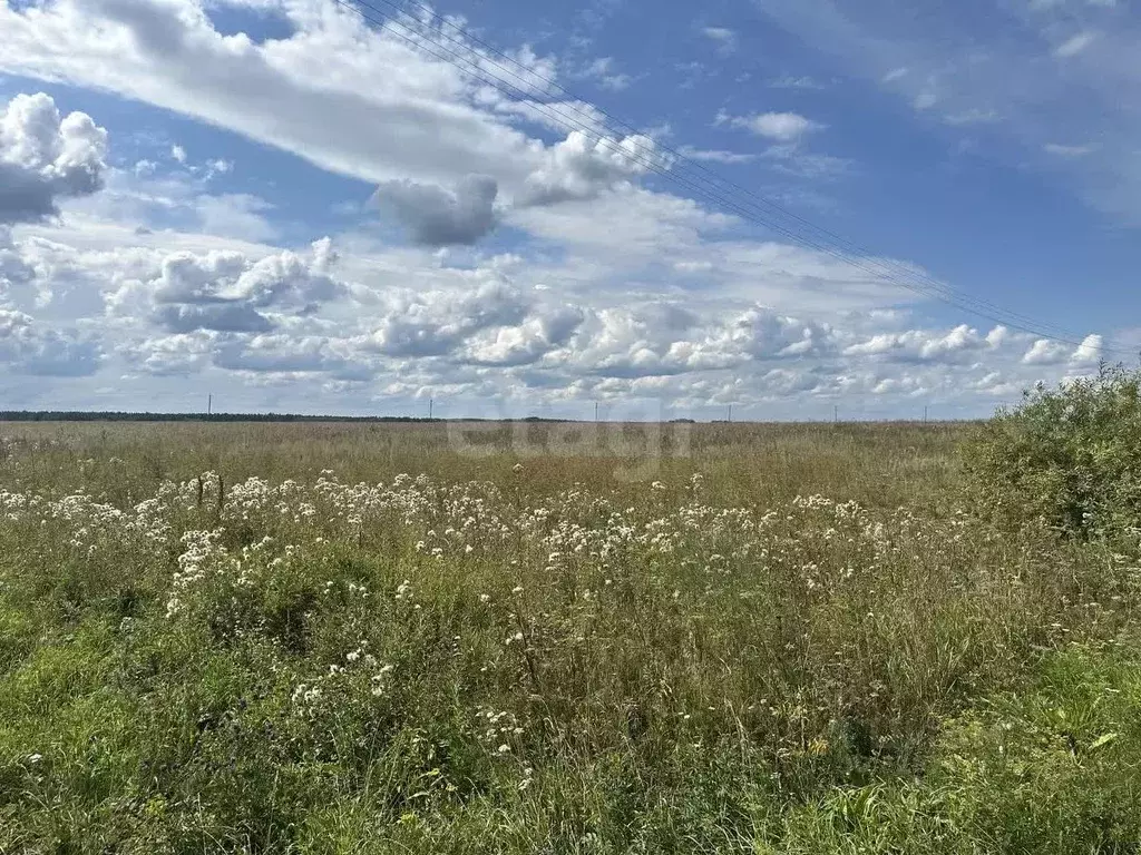 Участок в Свердловская область, Тугулым пгт ул. Сосновая (16.25 сот.) - Фото 1