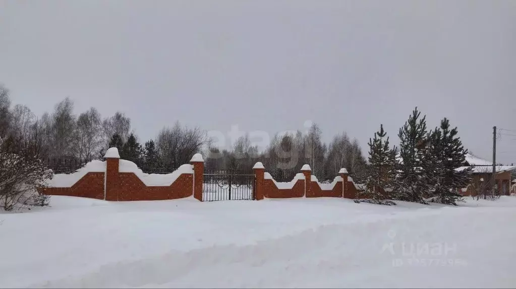 Участок в Алтайский край, Барнаул городской округ, пос. Бельмесево ул. ... - Фото 1