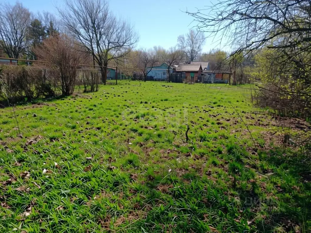 Участок в Краснодарский край, Славянский район, Прибрежное с/пос, пос. ... - Фото 2