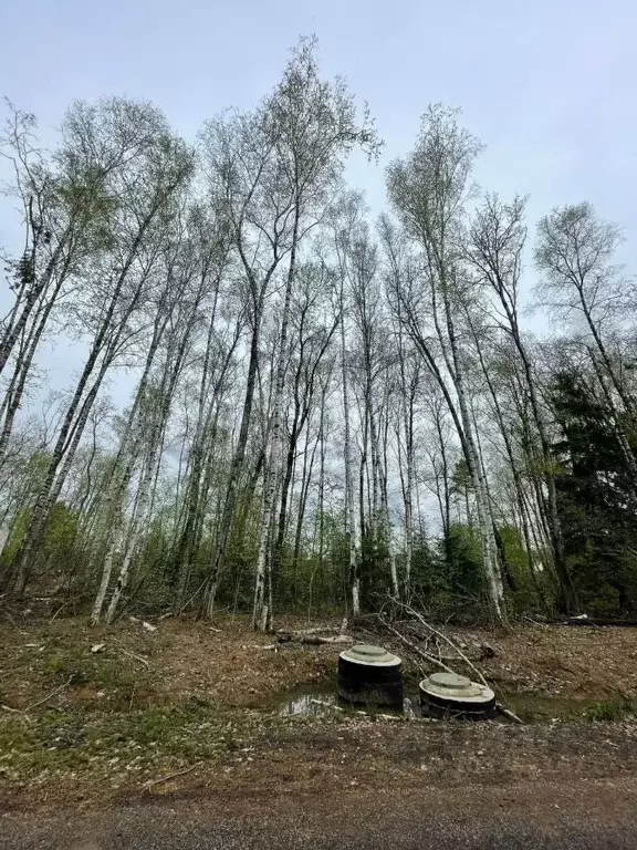 Участок в Московская область, Химки городской округ, Дачной застройки ... - Фото 0