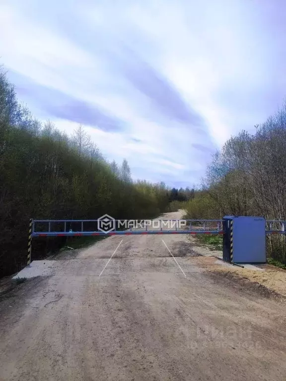 Участок в Ленинградская область, Ломоносовский район, Ропшинское ... - Фото 0