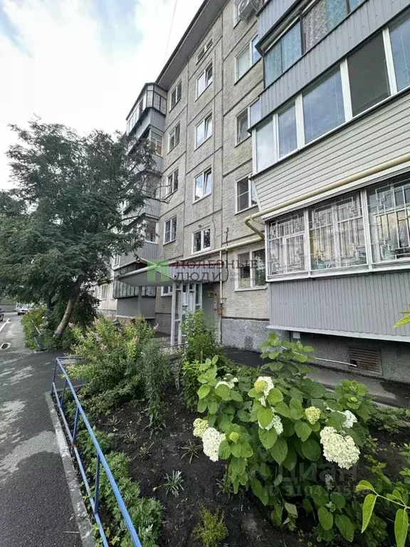 1-к кв. Курганская область, Курган ул. Гоголя, 88 (32.1 м) - Фото 1