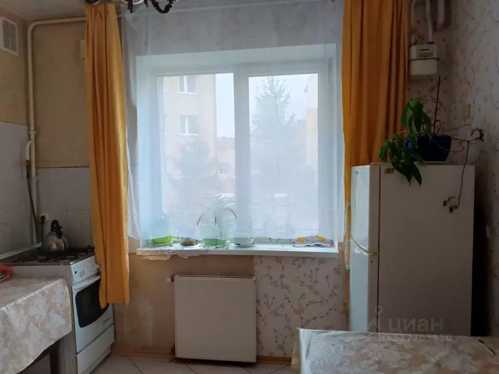 1-к кв. Калининградская область, Гурьевский муниципальный округ, пос. ... - Фото 0