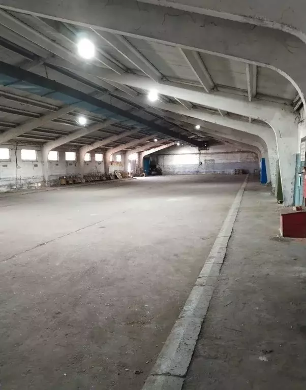 Помещение свободного назначения в Краснодарский край, Каневская ст-ца ... - Фото 1