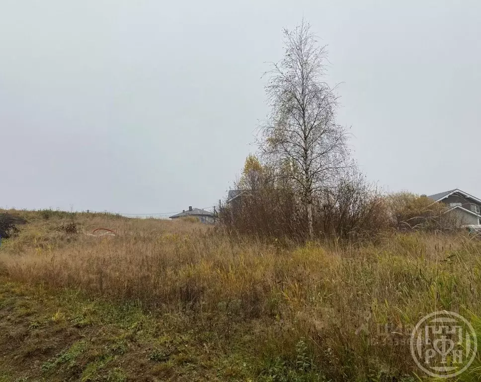 Участок в Ленинградская область, Всеволожский район, Лесколовское ... - Фото 1