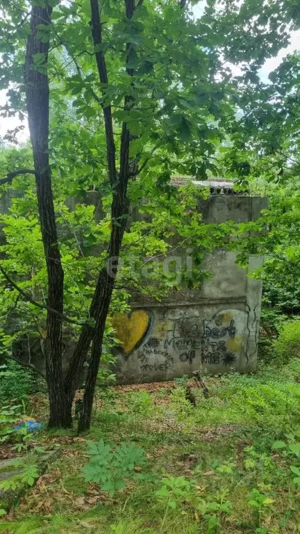 Участок в Амурская область, Благовещенск  (14.0 сот.) - Фото 1