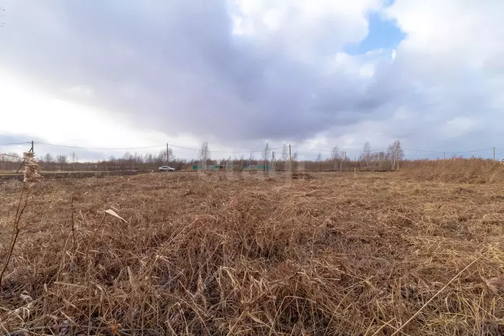 Участок в Тюменская область, Тюмень Большое Царево-1 СНТ,  (9.8 сот.) - Фото 0