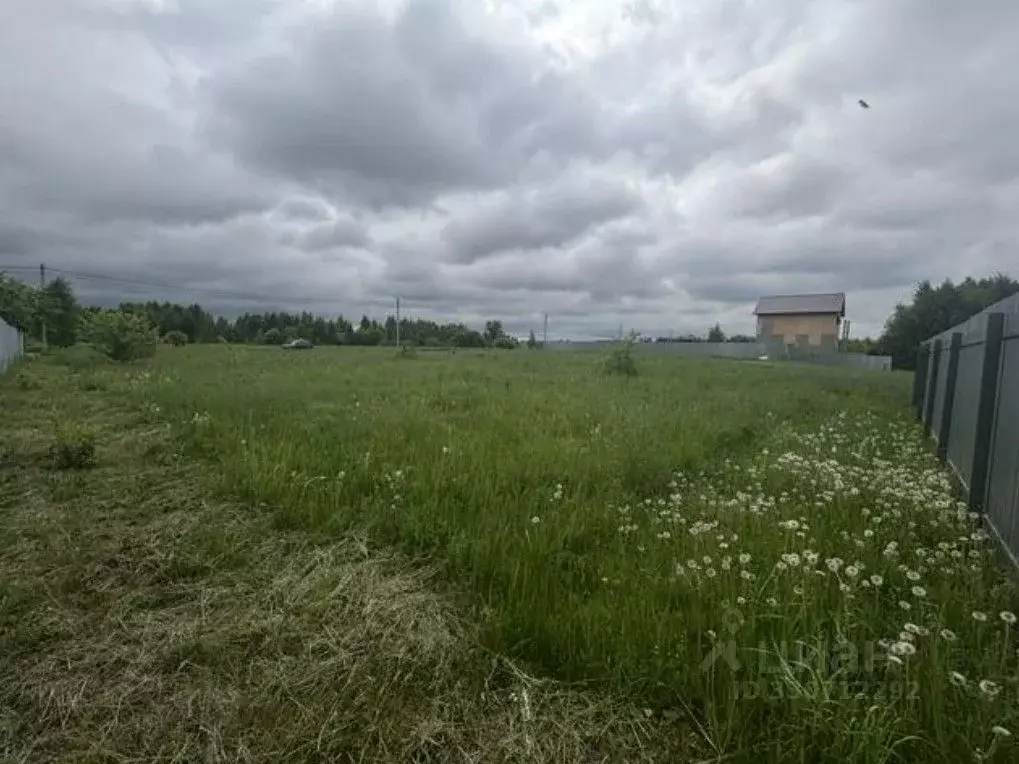 Участок в Московская область, Воскресенск городской округ, Имени ... - Фото 2