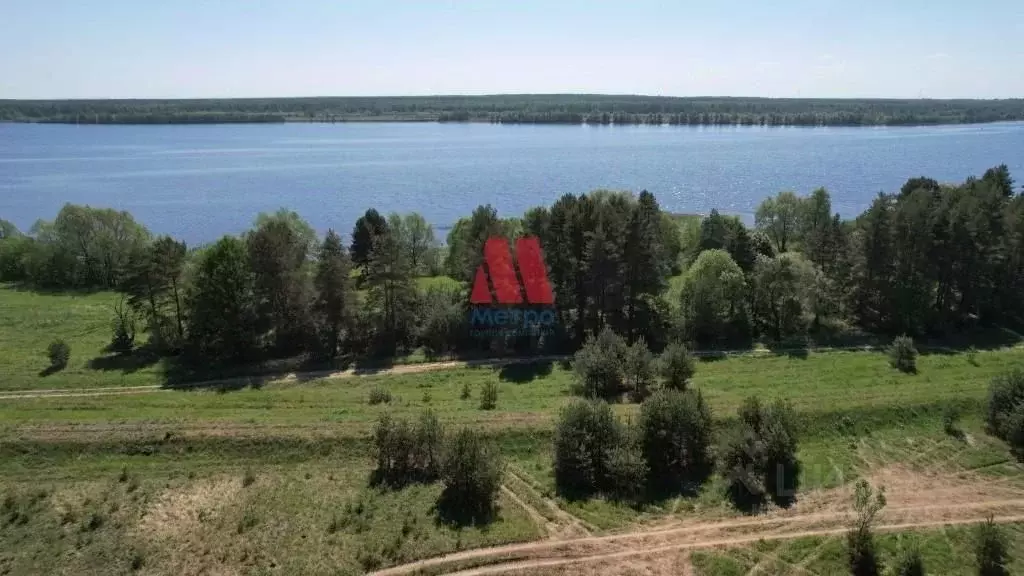 Участок в Ярославская область, Некрасовский муниципальный округ, ... - Фото 1