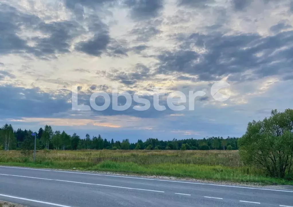 Участок в Московская область, Наро-Фоминский городской округ, д. ... - Фото 1