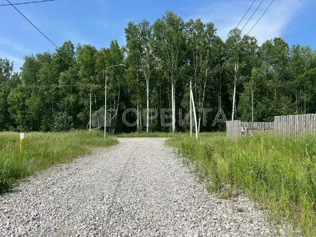 Участок в Тюменская область, Тюменский муниципальный округ, д. ... - Фото 2