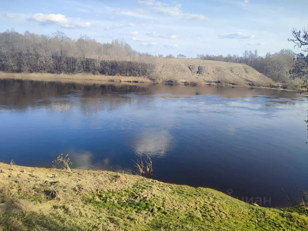 Дом в Новгородская область, Солецкий муниципальный округ, д. Дуброво ... - Фото 1