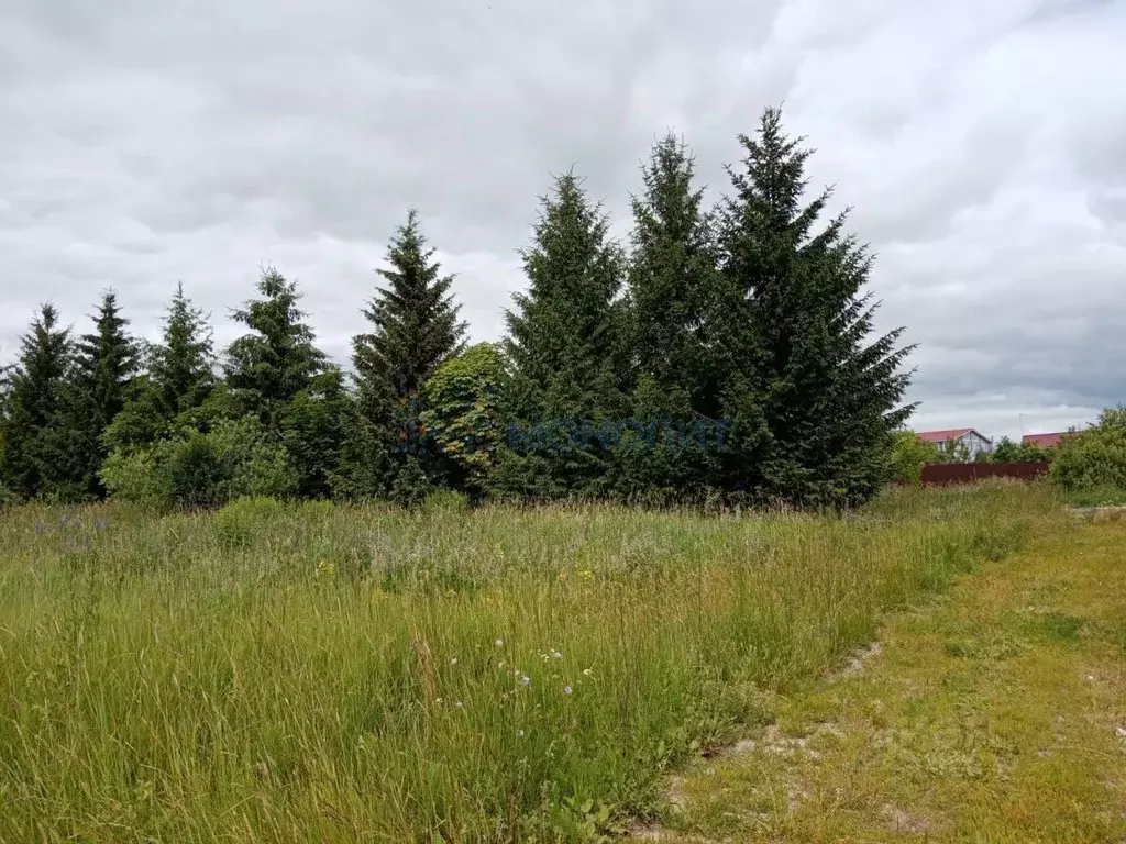 Участок в Нижегородская область, Богородский муниципальный округ, д. ... - Фото 2