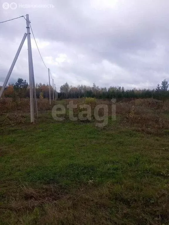 Участок в Тюменская область, Нижнетавдинский муниципальный округ, СНТ ... - Фото 2