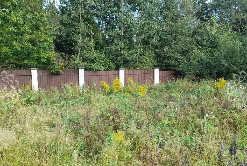 Участок в Московская область, Пушкинский городской округ, Ашукино пгт ... - Фото 1