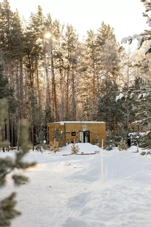 Дом в Красноярский край, Емельяновский муниципальный округ, Тальский ... - Фото 1