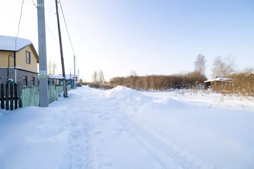 Участок в Тюменская область, Нижнетавдинский муниципальный округ, ДНТ ... - Фото 1