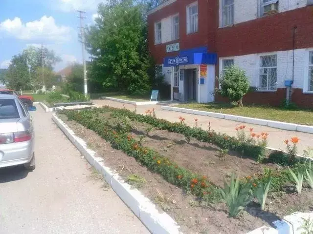 Помещение свободного назначения в Саратовская область, с. Балтай ул. ... - Фото 2