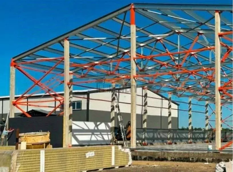 Склад в Московская область, Пушкинский городской округ, д. Алешино ул. ... - Фото 2