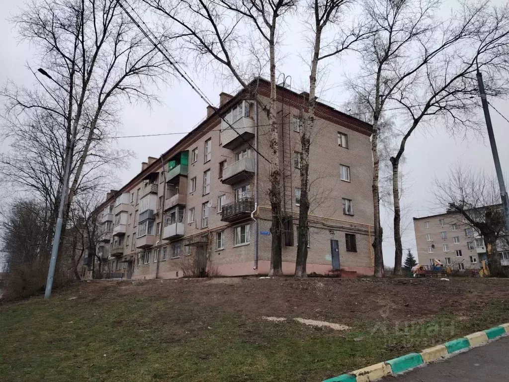 2-к кв. Московская область, Богородский городской округ, д. Авдотьино ... - Фото 1