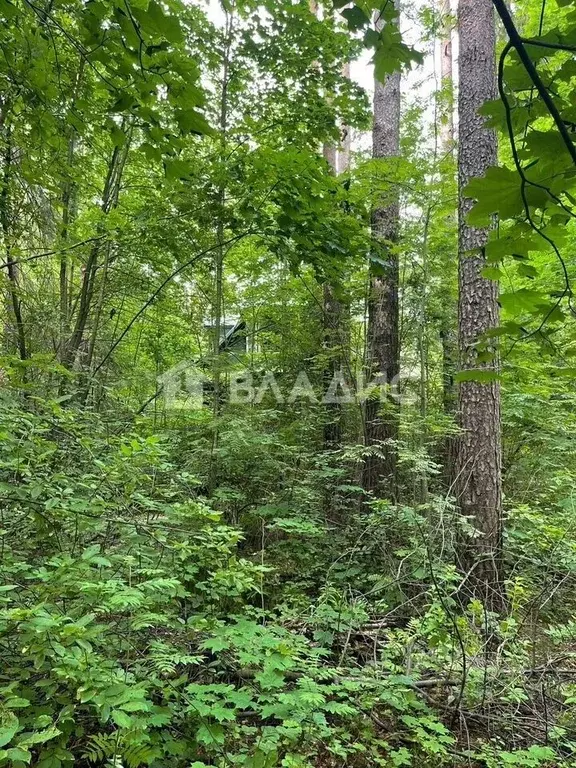 Участок в Ленинградская область, Всеволожск ул. Гоголя, 57 (20.0 сот.) - Фото 0