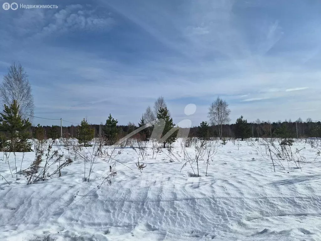 Участок в Московская область, городской округ Щёлково, деревня Малые ... - Фото 2