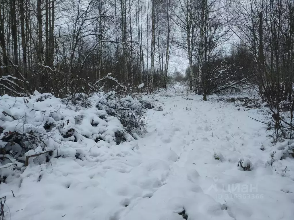 Участок в Московская область, Клин городской округ, д. Титково ул. 1-я ... - Фото 0