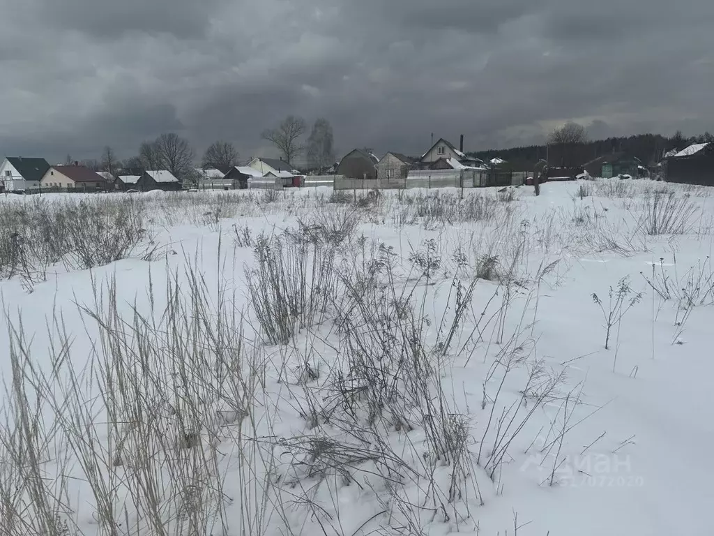 Участок в Московская область, Богородский городской округ, д. Соколово ... - Фото 0