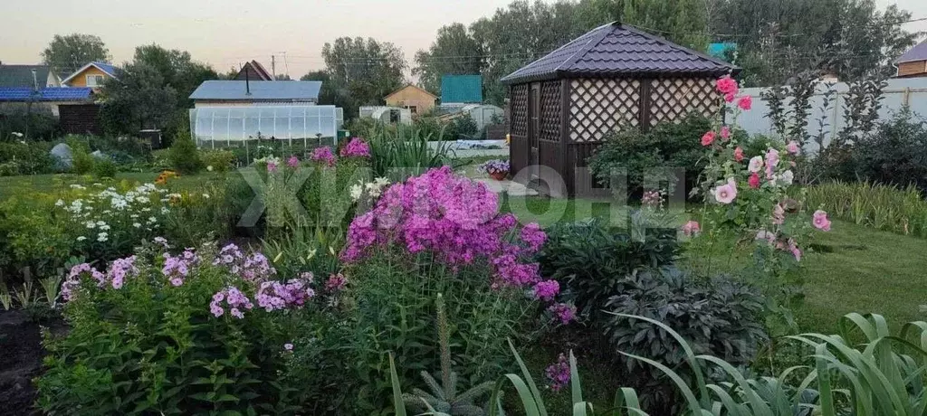 Участок в Новосибирская область, Новосибирский район, Морской ... - Фото 0