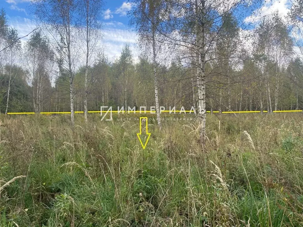 Участок в Калужская область, Жуковский муниципальный округ, Высокиничи ... - Фото 1