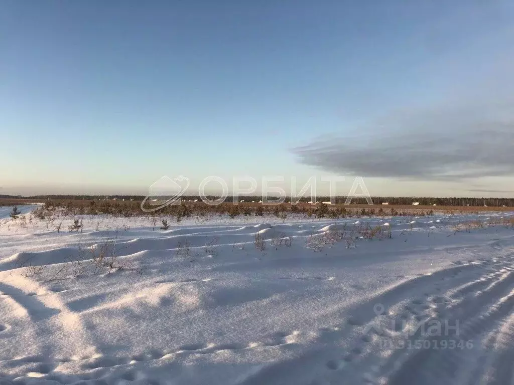 Участок в Свердловская область, Тугулым пгт ул. Лесная (12.5 сот.) - Фото 1
