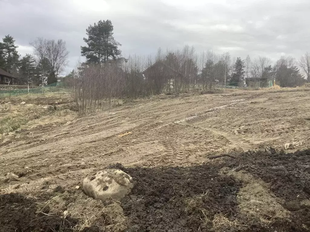 Участок в Ленинградская область, Приозерский район, Запорожское с/пос, ... - Фото 1