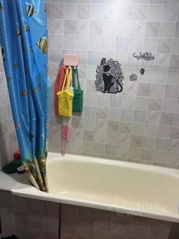 Комната Костромская область, Кострома ул. Северной Правды, 29 (17.0 м) - Фото 2