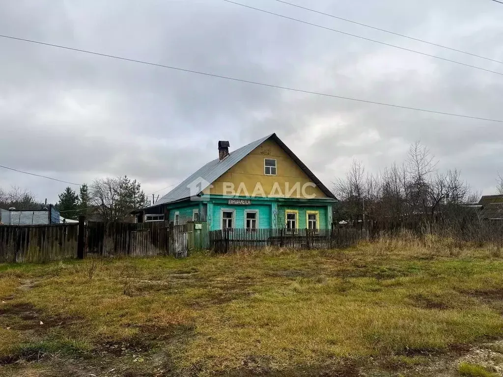 Дом в Владимирская область, Судогодский район, пос. Андреево Лесная ... - Фото 2