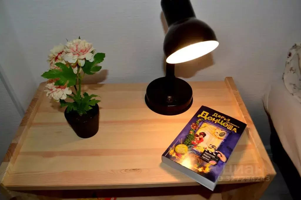 1-к кв. Московская область, Ногинск Богородский городской округ, ул. ... - Фото 2