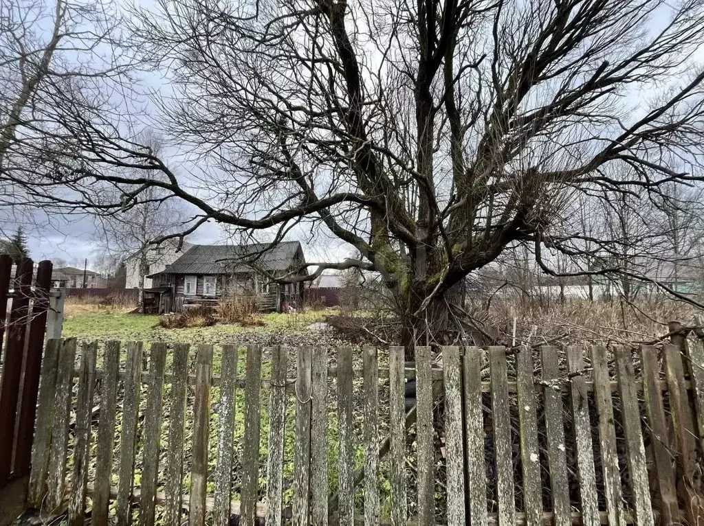 Участок в Ленинградская область, Киришский район, Будогощь пгт ул. ... - Фото 1