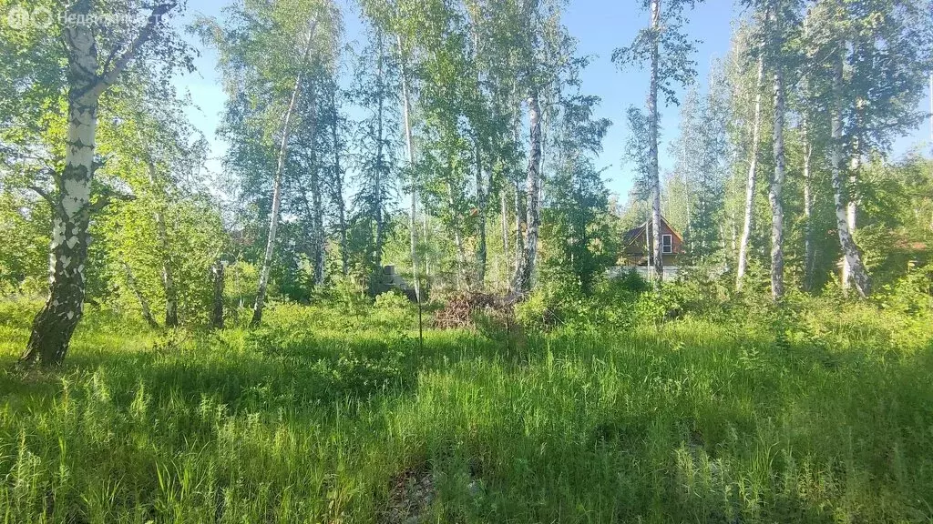 участок в село кетово, садоводческое некоммерческое товарищество южный . - Фото 1