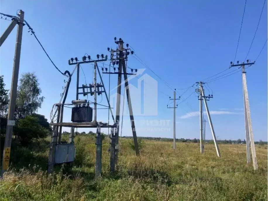 Участок в Калининградская область, Зеленоградский муниципальный округ, ... - Фото 2