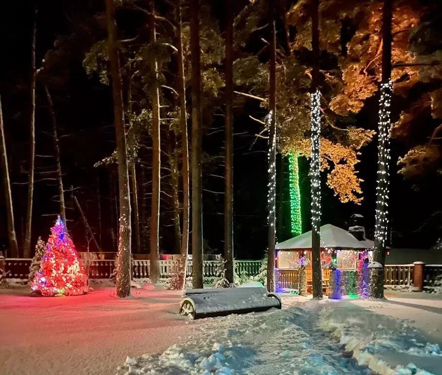 Дом в Ленинградская область, Выборгский район, Приморское городское ... - Фото 1