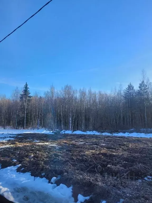 Участок в Ленинградская область, Ломоносовский район, Низинское с/пос  ... - Фото 2