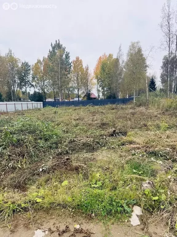 Участок в Ленинградская область, Всеволожск (8 м) - Фото 1