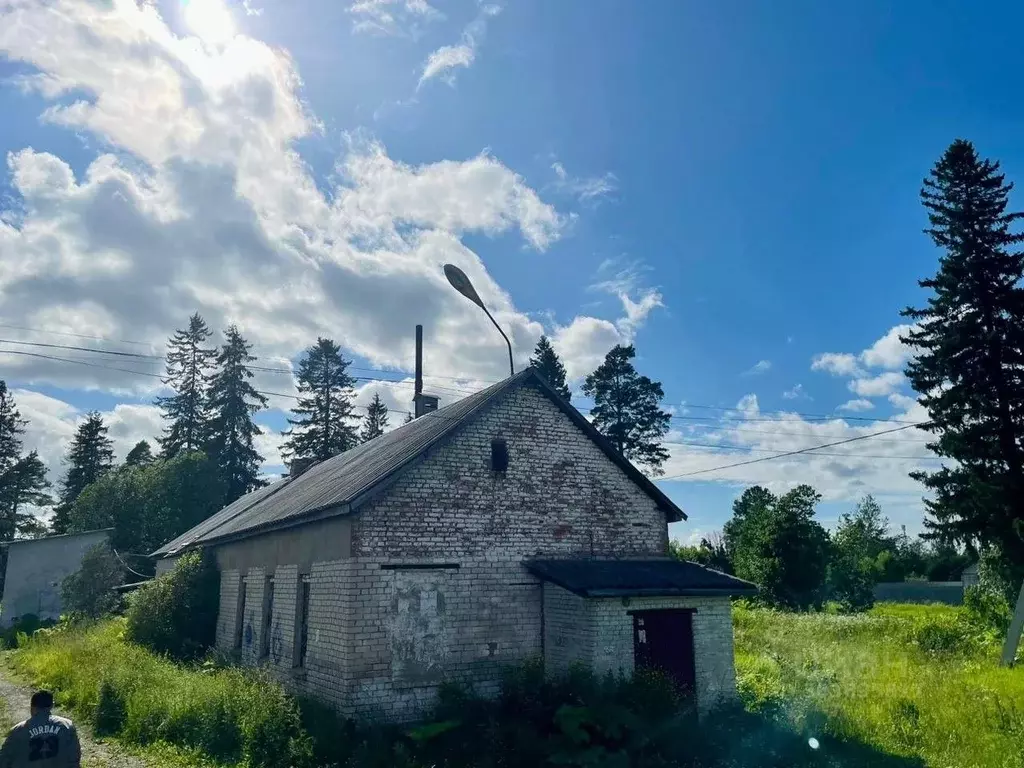 Участок в Ленинградская область, Гатчинский район, пос. Елизаветино ... - Фото 1