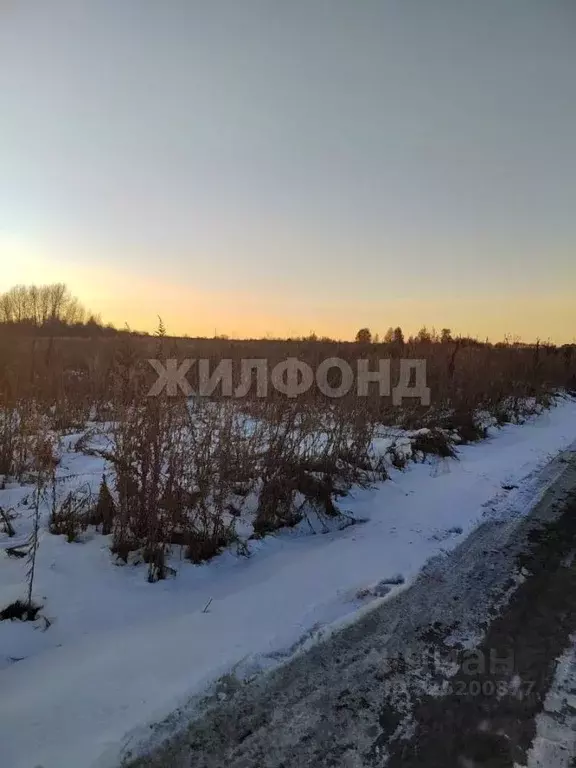 Участок в Новосибирская область, Новосибирский район, Морской ... - Фото 2