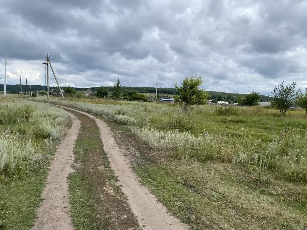 Участок в Ульяновская область, Мелекесский район, Николочеремшанское ... - Фото 0