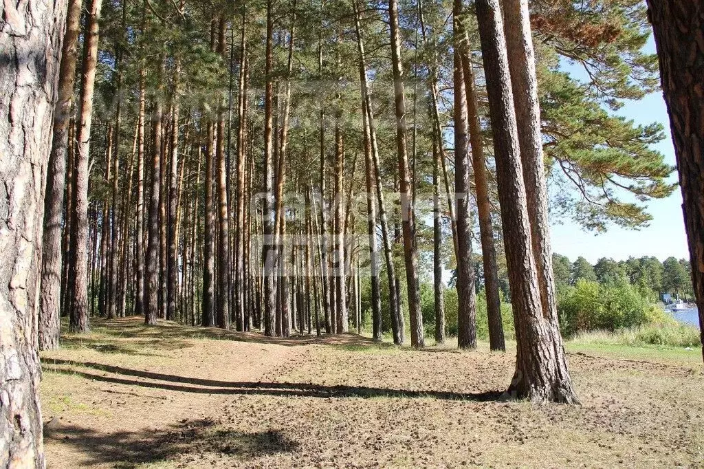 Участок в Свердловская область, Сысертский городской округ, пос. ... - Фото 0