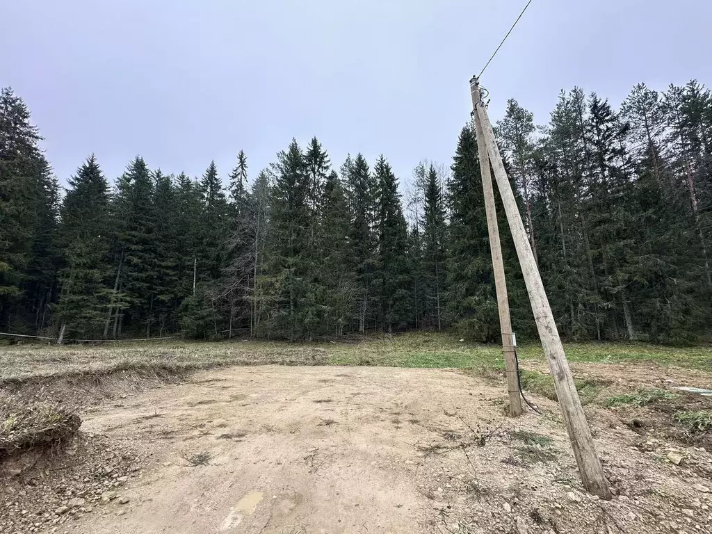 Участок в Ленинградская область, Ломоносовский район, Лопухинское ... - Фото 2