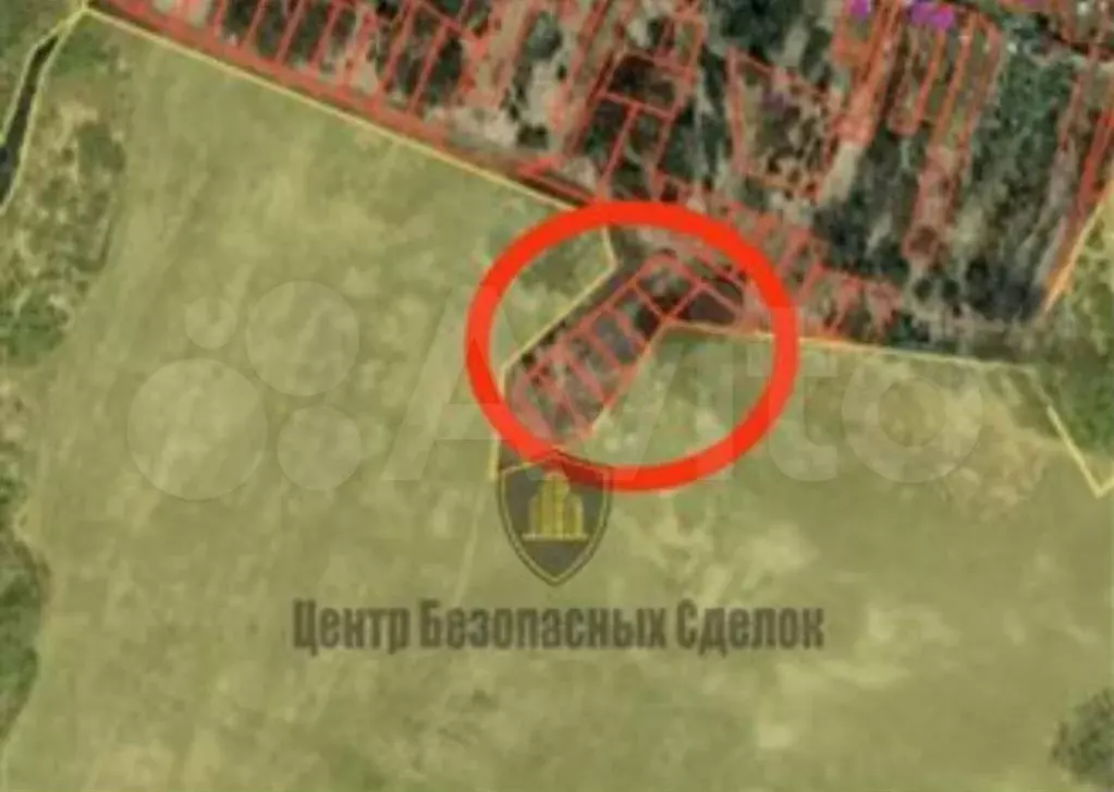 Участок 75 сот. (ИЖС) - Фото 0