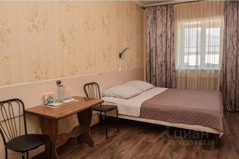 Комната Алтайский край, Барнаул ул. Льва Толстого, 16А (25.0 м) - Фото 1