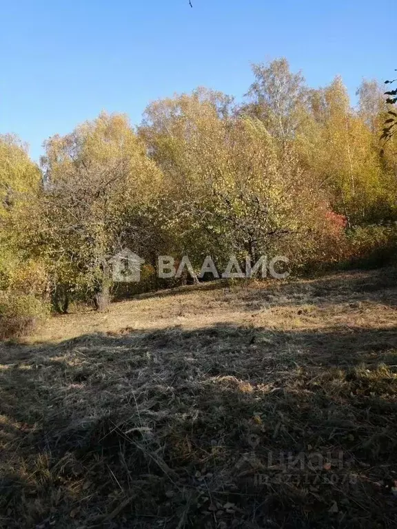 Дом в Нижегородская область, Нижний Новгород д. Чеченино, ул. Малая ... - Фото 2