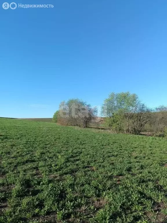 Участок в Большая Кибья, Нагорная улица (44 м) - Фото 1
